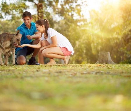 Explore-Brisbane-Family-Fun-31